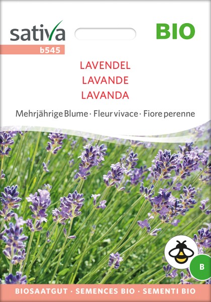 Lavendel BIO Saatgut Sativa
