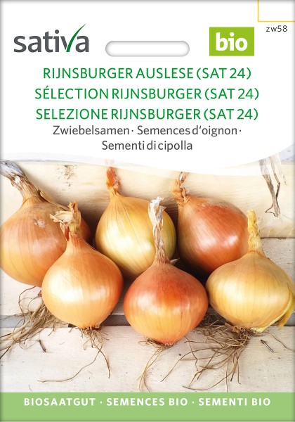 Zwiebel Rijnsburger Auslese (SAT24) Bio Samen