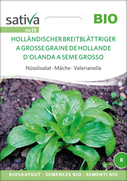 Feldsalat, Ackersalat, Nüsslisalat Holländischer Breitblättriger Bio Samen