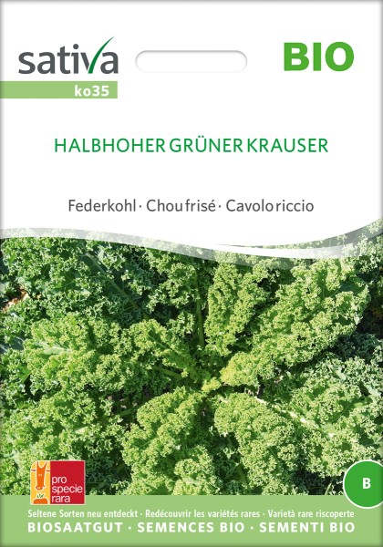 Grünkohl 'Halbhoher Grüner Krauser', Federkohl BIO Samen