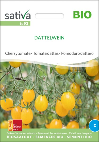 Dattel Tomate Dattelwein BIO Samen