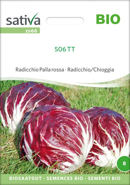 Zichorie 506 TT Radicchio Palla Rossa Bio Samen
