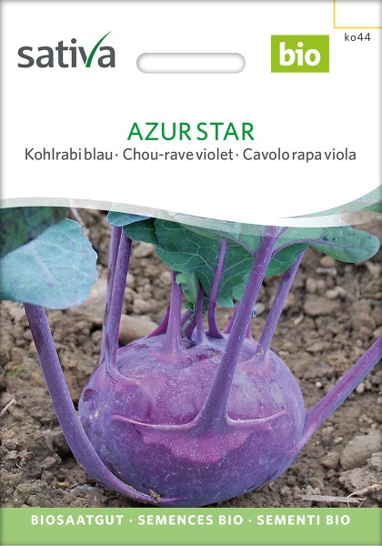 Kohlrabi 'Azur Star' BIO Samen