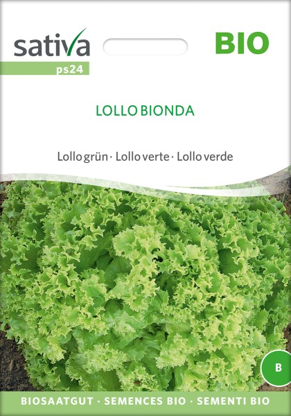 Pflücksalat Lollo Bionda Biosaatgut