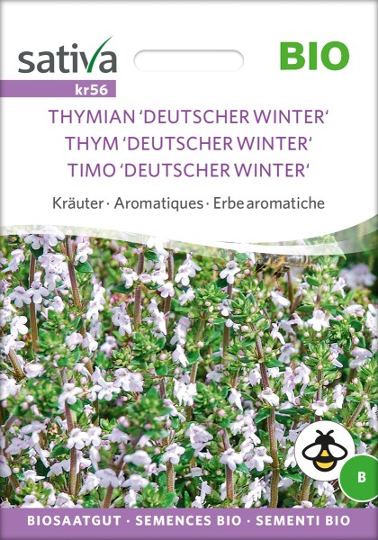 Thymian Deutscher Winter Samen BIO