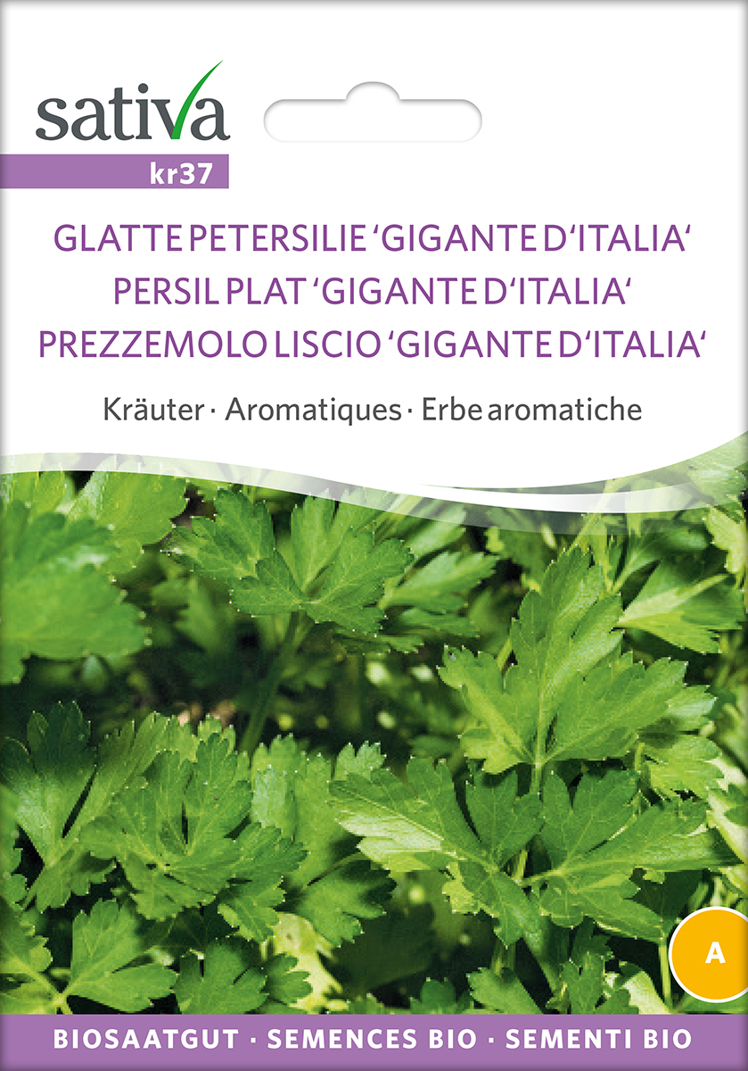 Petersilie Gigante de Italia Bio-Saatgut