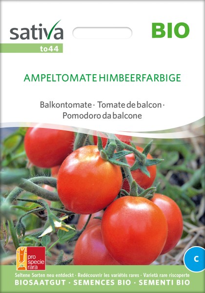 Tomate Ampeltomate Himbeerfarbige Biosamen