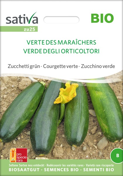 Zucchini 'Verte des Maraîchers' BIO Samen