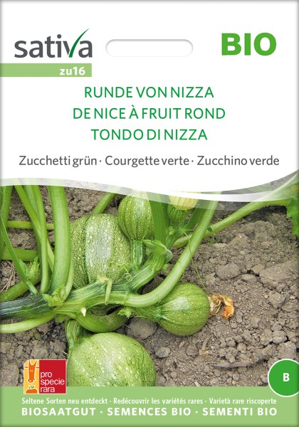 Zucchini 'Runde von Nizza' Samen