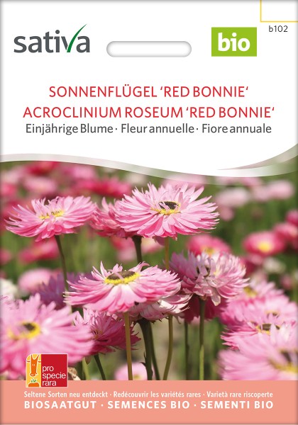 Sonnenflügel 'Red Bonnie' Bio Samen