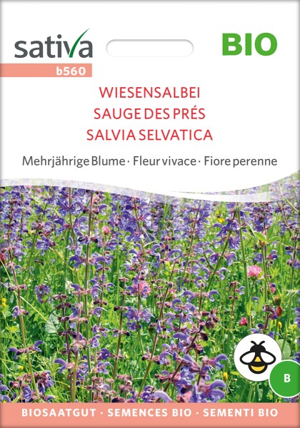 Wiesensalbei - BIO Samen von Sativa