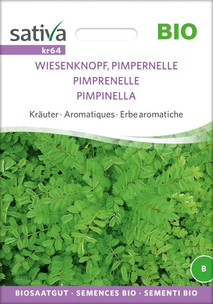 Wiesenknopf, Pimpernelle BIO Samen