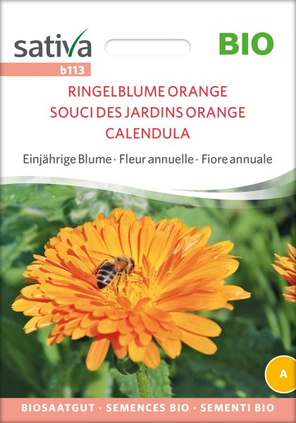 Ringelblume Orange Bio Samen