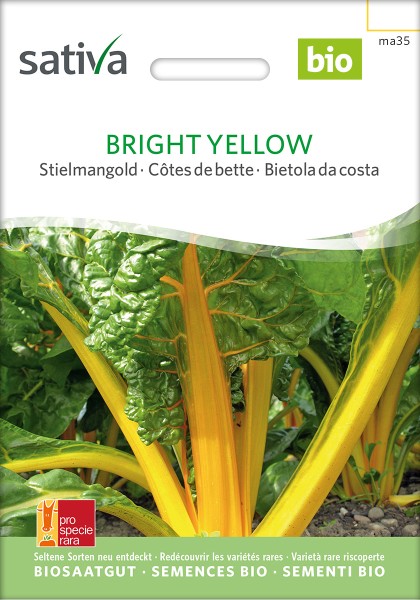 Mangold Bright Yellow Bio Samen