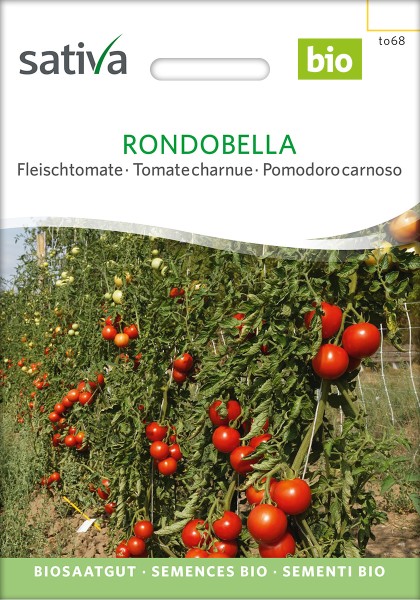 Tomate Rondobella BIO Samen