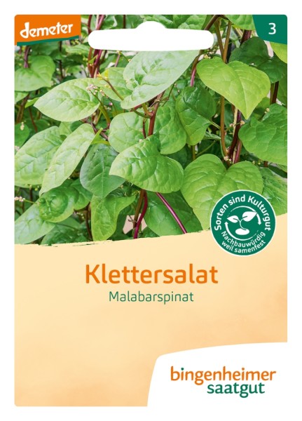 Malabar Spinat / Klettersalat Biosamen