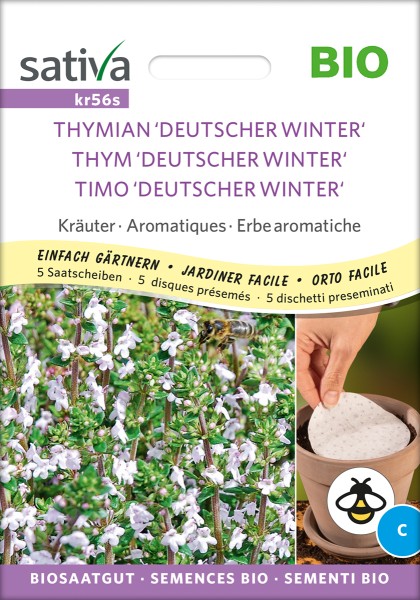 Thymian Deutscher Winter Bio Samen / 5 Saatscheiben