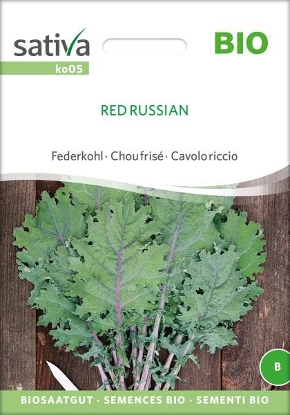 Federkohl Red Russian / Grünkohl Biosaatgut