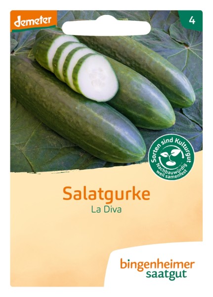 Salatgurke La Diva Bio Samen