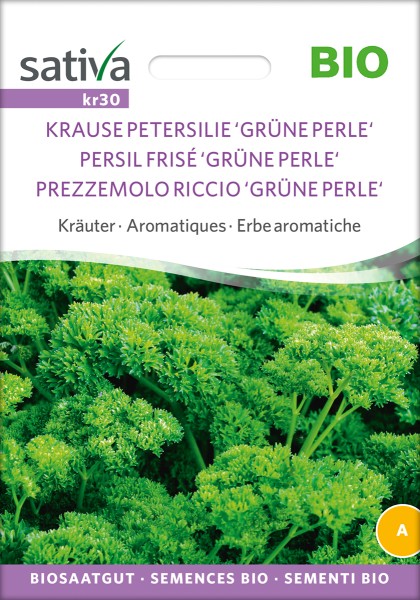 Krause Petersilie 'Grüne Perle' Bio Samen