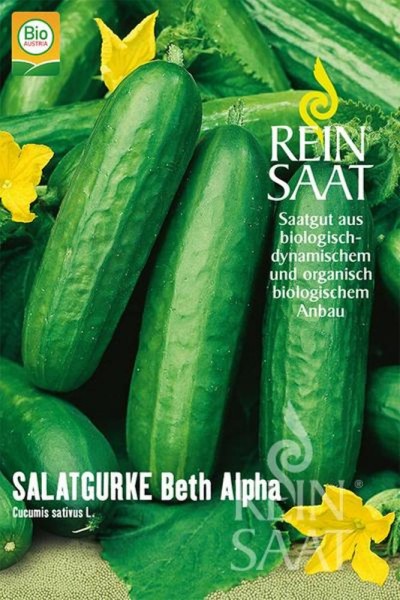 Salatgurke 'Beth Alpha' / Snackgurke, BIO Samen