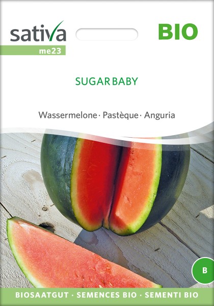Wassermelone Sugar Baby BIO Samen